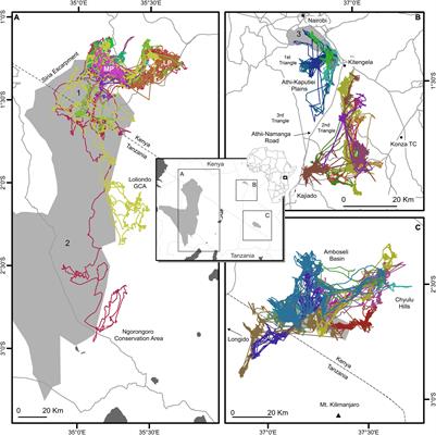Increasing Anthropogenic Disturbance Restricts Wildebeest Movement Across East African Grazing Systems